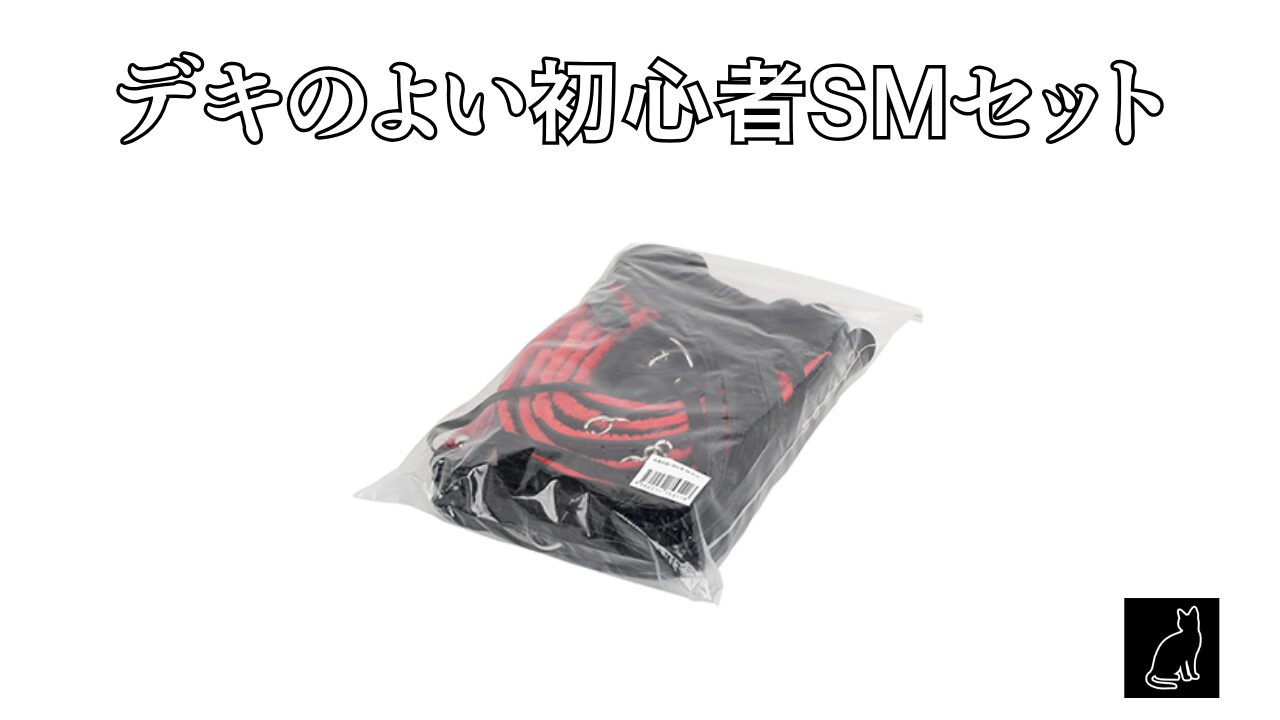 デキのよい初心者ＳＭセット